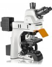 Fluorescent Microscope IMF-1560 