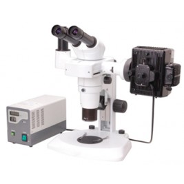 Fluorescent Zoom Stereo Microscope IMS-3225
