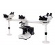 Multi-head Biological Microscope IMB-2130
