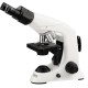 Research Microscope IMB-4230