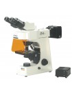 Fluorescent Microscope IMF-1220
