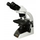 Fluorescent Microscope IMF-1310 