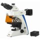 Fluorescent Microscope IMF-1310 