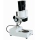 Stereo Microscope IMS-1110-110V