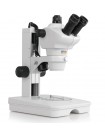 Zoom Stereo Microscope IMS-2435