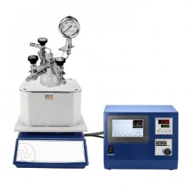 Mini Scale Pressure Reactor IPR-1025 SUS316Ti + PTFE